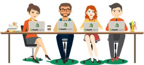 Shopify Store Developer