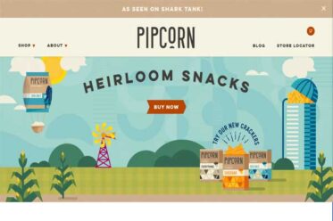 Shopify Stores