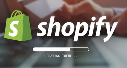 Shopify Store Maintenance